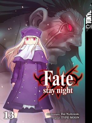 cover image of Fate/stay night--Einzelband 13